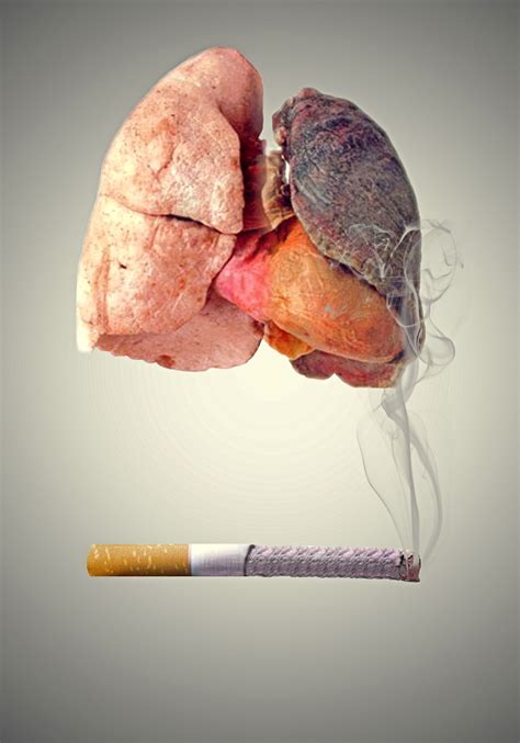 dating a smoker health
